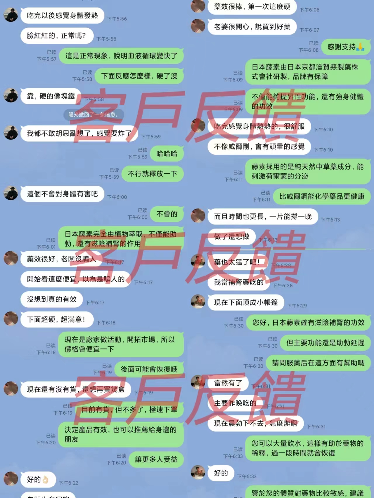 日本藤素.jpg